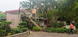 Update Bencana Angin Kencang di Kecamatan Ciawigebang: 67 Rumah dan Bangunan Rusak
