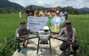 Diskatan Kuningan: Semprot Hama Padi Menggunakan Drone Lebih Murah dan Cepat