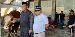DPC Partai Gerindra Kuningan Kurban 4 Sapi dan 5 Kambing