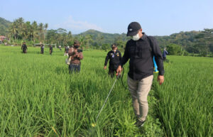 Kementan dan Pemprov Jabar Pilih Kuningan sebagai Pusat Gerdal Hama Terpadu