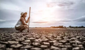 Puncak El Nino Diprediksi Agustus 2026, Kementan Siapkan Strategi
