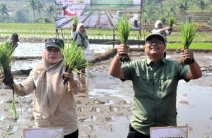 Dukung Ketahanan Pangan Nasional, Kuningan gelar Gerakan Tanam Serentak