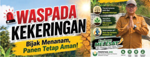 Memasuki Puncak Kemarau, Diskatan Kuningan Imbau Petani Sesuaikan Pola Tanam